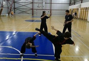 Club sportiv Cridas - Cursuri Kung-fu/ Wu-shu